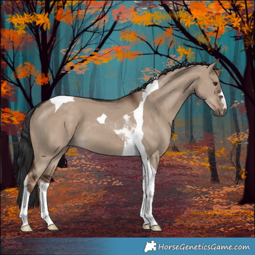Horse Color:Liver Red Dun Tobiano 