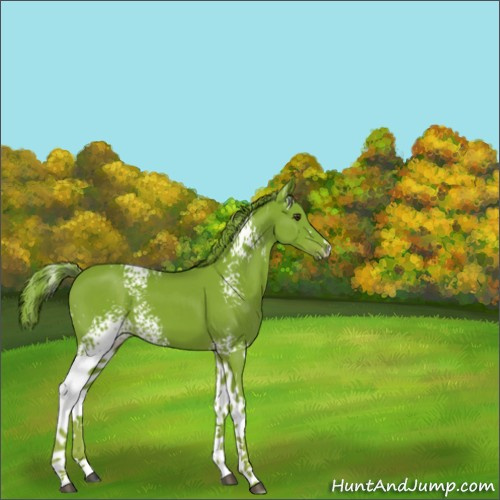 Horse Color:Watercolor White Spotted Liver Chestnut 