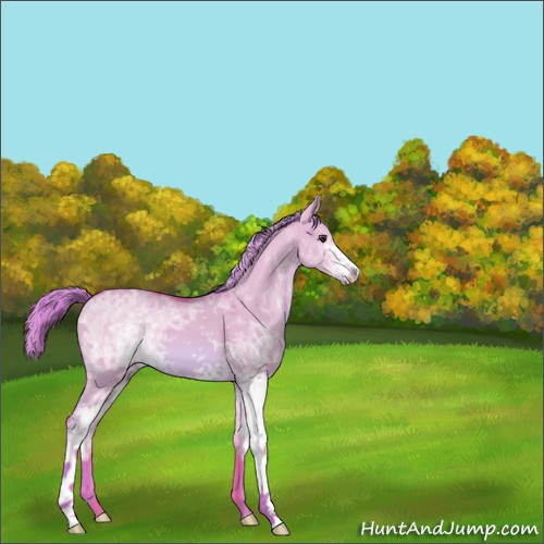 Horse Color:Watercolor White Spotted Red Dun 