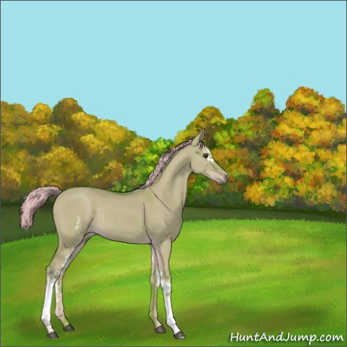 Horse Color:Watercolor White Spotted Liver Red Dun Rabicano 