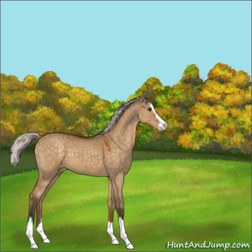 Horse Color:Silver Buckskin Roan Dun Splash 
