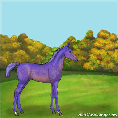 Horse Color:Watercolor Chocolate Palomino 