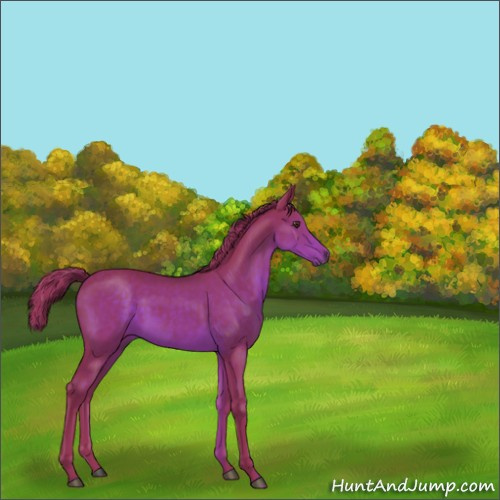 Horse Color:Watercolor Liver Chestnut 