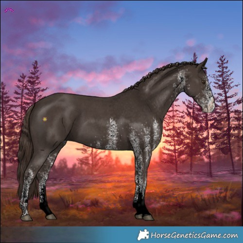 Horse Color:White Spotted Liver Chestnut 