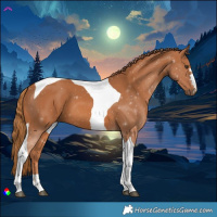 Horse Color:Chestnut Tobiano 