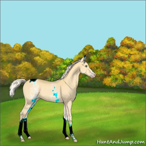 Horse Color:White Spotted Gold Cream Champagne Tobiano 