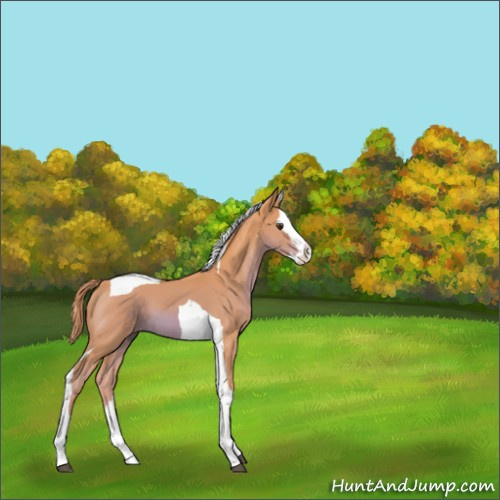 Horse Color:Watercolor Chestnut Splash Tobiano 
