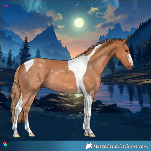 Horse Color:Chestnut Tobiano