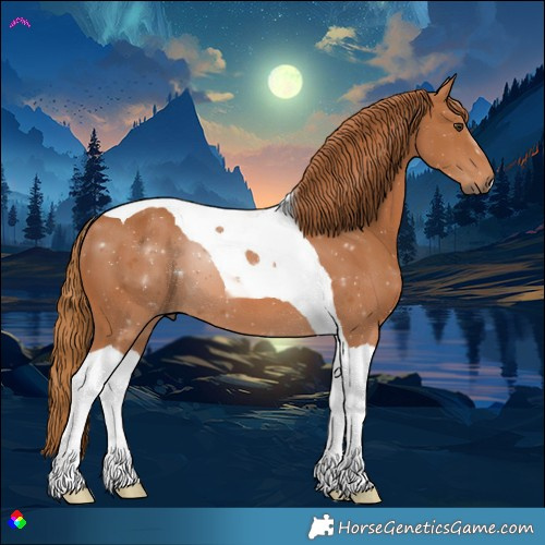 Horse Color:Chestnut Tobiano 