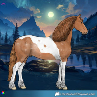 Horse Color:Chestnut Tobiano 