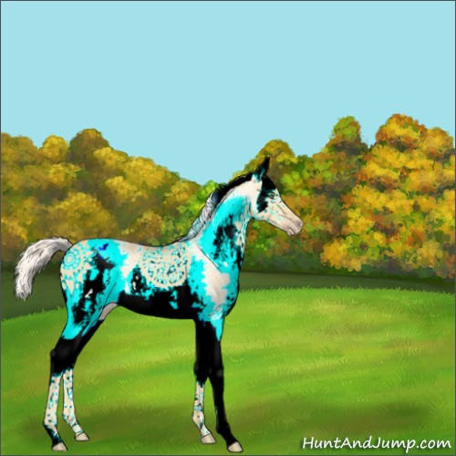 Horse Color:White Spotted Gold Cream Champagne Dun Splash 