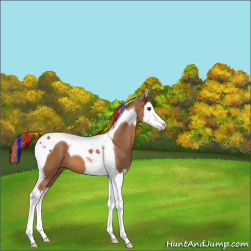 Horse Color:Painted Chestnut Splash Tobiano 