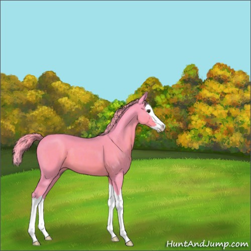 Horse Color:Watercolor Chocolate Palomino Splash 
