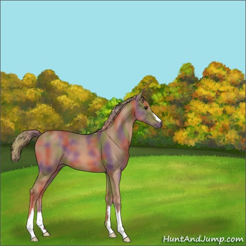 Horse Color:Nacre Chestnut 