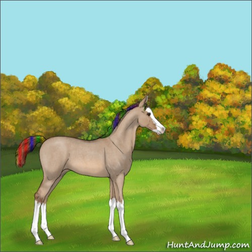 Horse Color:Painted Red Dun Roan Splash 