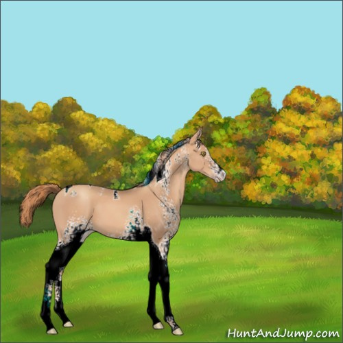Horse Color:White Spotted Gold Champagne Tobiano 