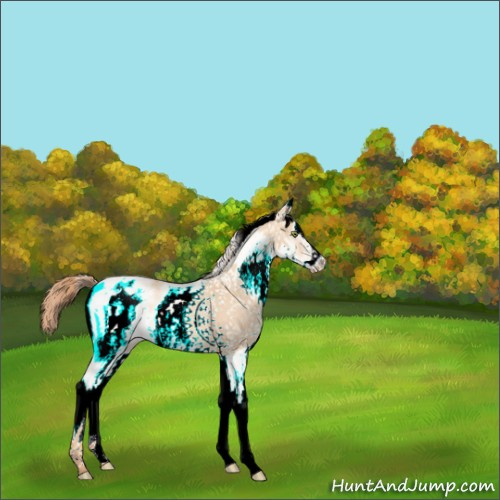 Horse Color:White Spotted Gold Champagne Dun 