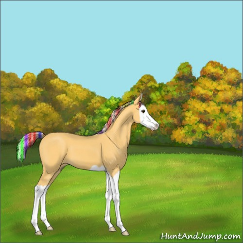Horse Color:Painted Palomino Splash 