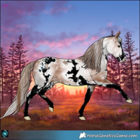 Horse Color:White Spotted Chestnut Splash Blanket 