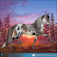 Horse Color:White Spotted Liver Chestnut Splash 