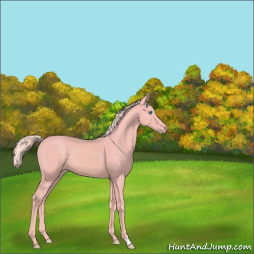 Horse Color:Watercolor Cremello 