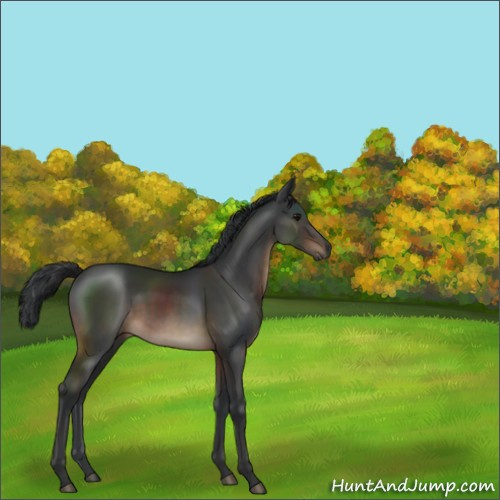 Horse Color:Brown 