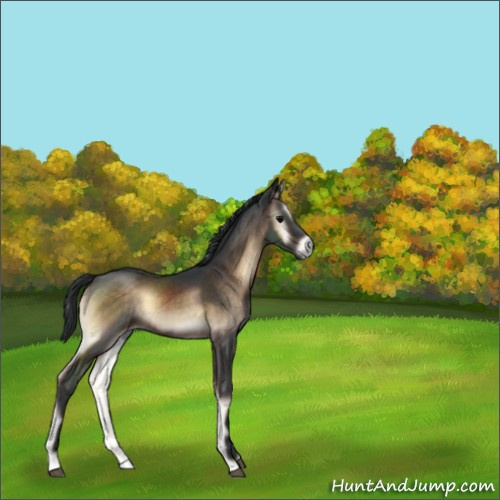 Horse Color:Brown Onyx 