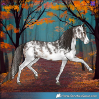 Horse Color:Liver Chestnut Sabino 
