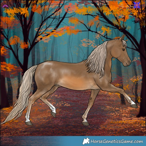 Horse Color:Chocolate Palomino Sabino 