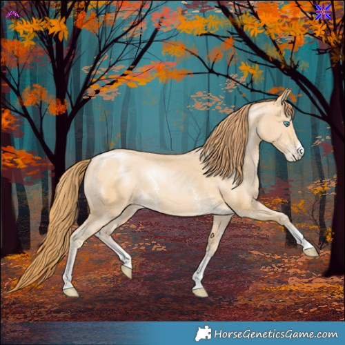 Horse Color:Buckskin Pearl Sabino 