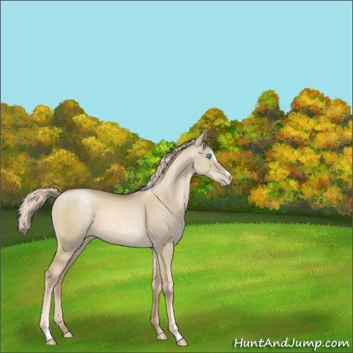 Horse Color:Chocolate Palomino Pearl Dun Sabino 