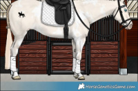 Horse Color:White Spotted Perlino Dun 