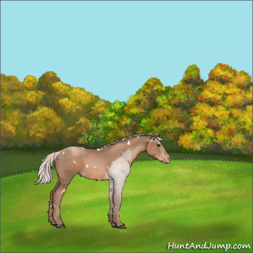 Horse Color:White Spotted Silver Black Pearl 