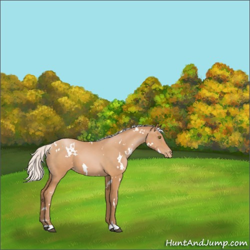 Horse Color:White Spotted Silver Brown Pearl 