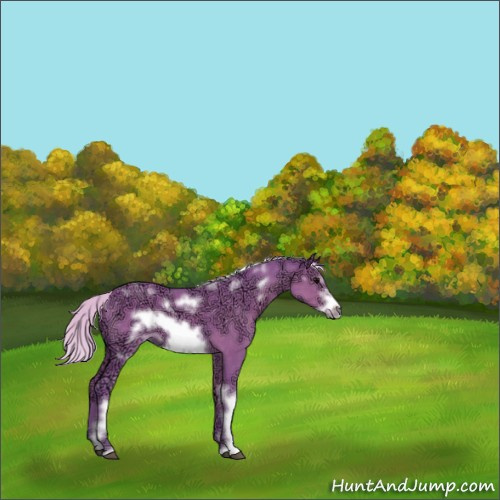 Horse Color:Watercolor White Spotted Silver Black Ice Frame 