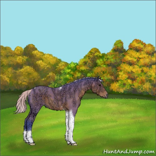 Horse Color:Watercolor Silver Black Ice Tobiano 