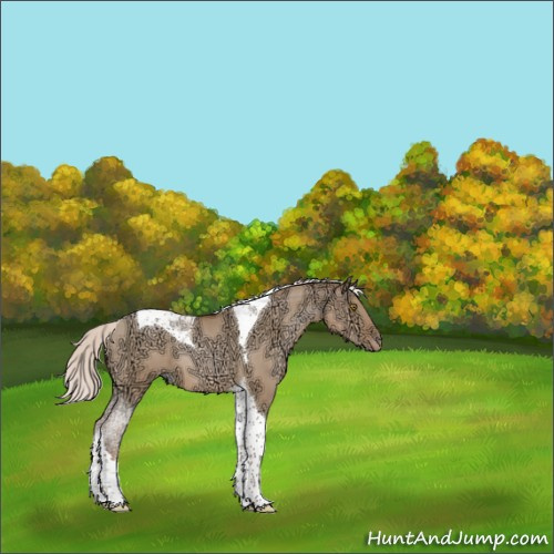 Horse Color:Silver Brown Ice Pearl Dun Tobiano 