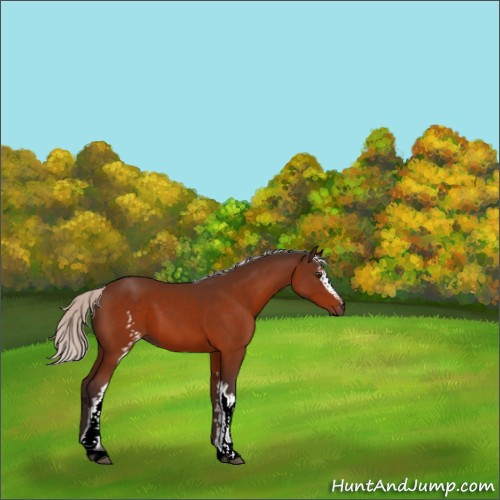 Horse Color:White Spotted Silver Brown 