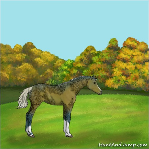 Horse Color:Watercolor White Spotted Silver Bay Ice Tobiano 