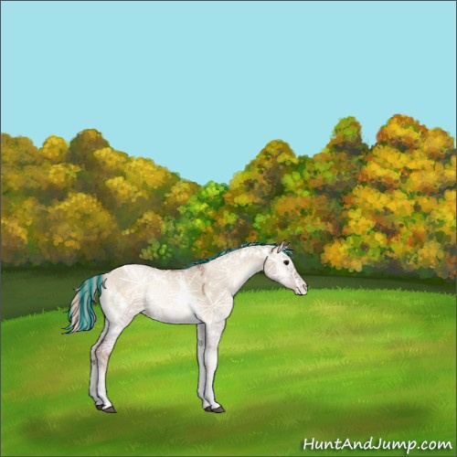 Horse Color:Painted White Spotted Silver Grullo Ice Pearl Onyx Tobiano 