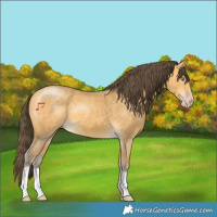 Horse Color:Amber Cream Champagne 