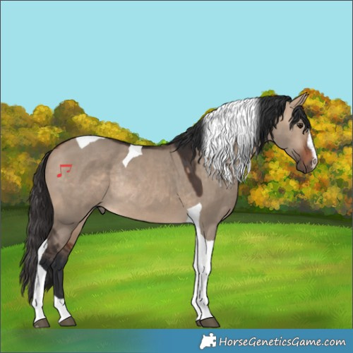 Horse Color:Bay Dun Sabino Tobiano Rabicano 