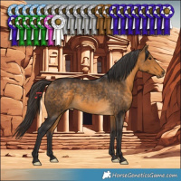 Horse Color:Buckskin