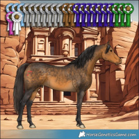 Horse Color:Buckskin 