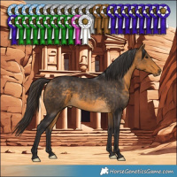 Horse Color:Buckskin 
