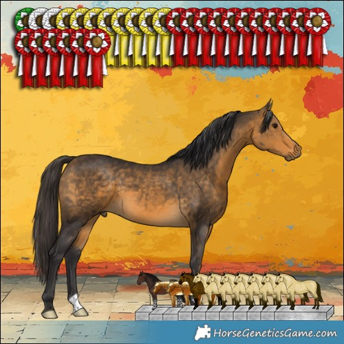 Horse Color:Buckskin