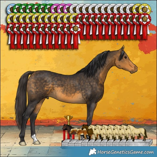 Horse Color:Buckskin 