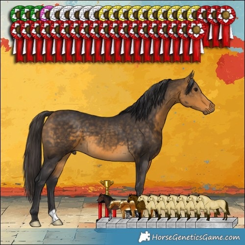 Horse Color:Buckskin 