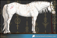 Horse Color:Palomino Near Leopard  and Gray Palomino Near Leopard 