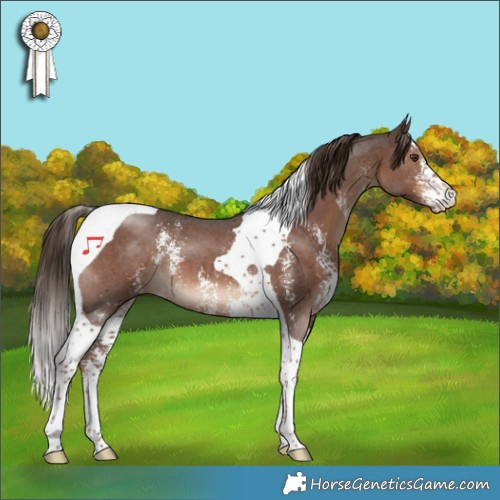 Horse Color:Liver Chestnut Sabino Tobiano 